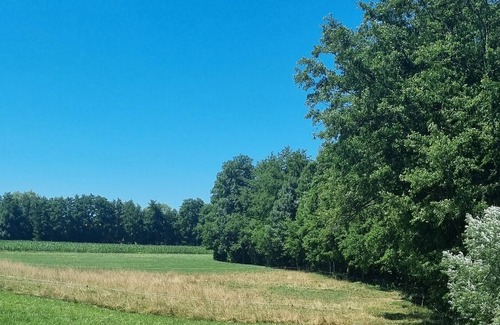 Butten Cama Y Desayuno | Quiet stay on the farm, with activities for families