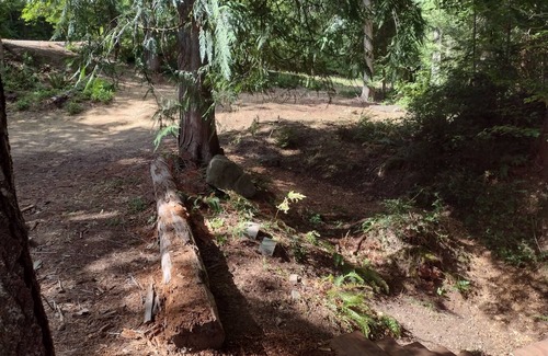Shelton Alquiler De RV | Quiet tent site. Lots of room. Pet friendly.