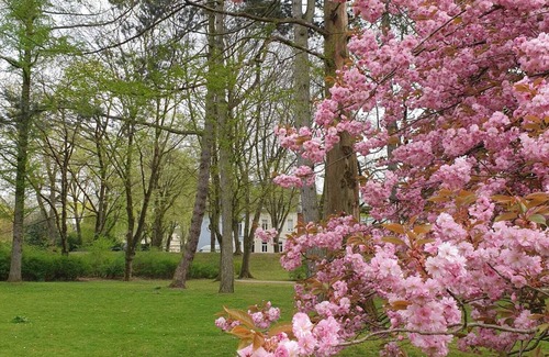 Moers Apartamento | Quiet vacation apartment right next to Moers Castle Park