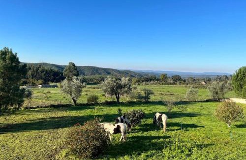 Tabua Cama Y Desayuno | Quinta da Barroca do Cabo