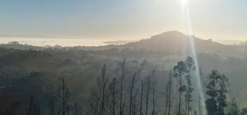 Leiria Casa | Quinta da Chumbaria - heaven on a hilltop, peace and stunning views!