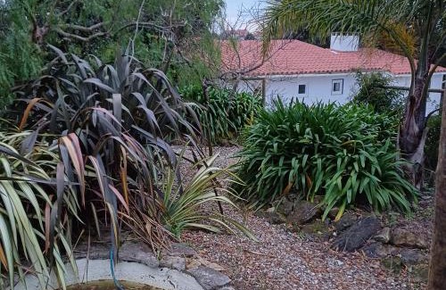 Alcobaca Cama Y Desayuno | Quinta da pêra rocha