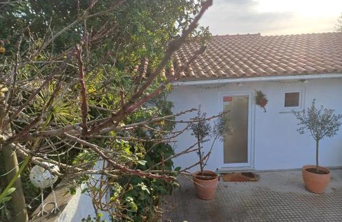 Alcobaca Cama Y Desayuno | Quinta da pêra rocha