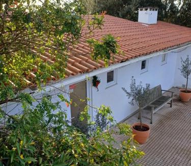 Alcobaca Cama Y Desayuno | Quinta da pêra rocha