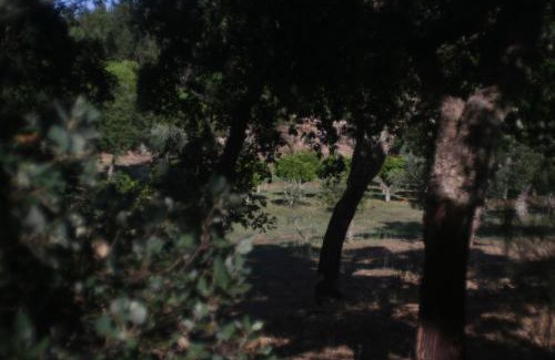 Sao Luis Otro | Quinta da Paz Eco-Lodge