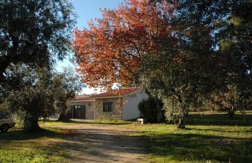 Santar Casa | Quinta da Pedra Mija