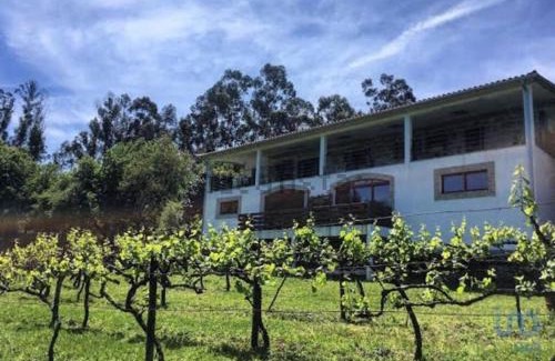Guilhofrei Apartamento | Quinta da Quinta