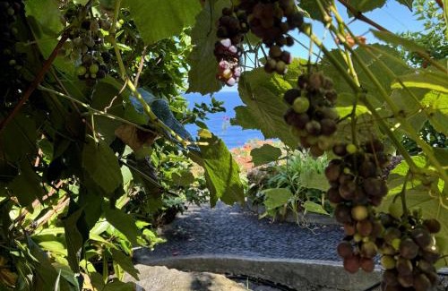 Arco de Sao Jorge Casa | Quinta das Hortênsias