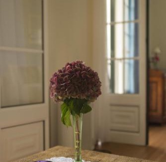 Arco de Sao Jorge Casa | Quinta das Hortênsias
