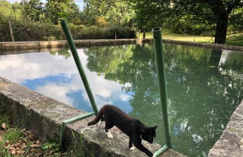 Sao Pedro do Sul Casa | Quinta das Uchas