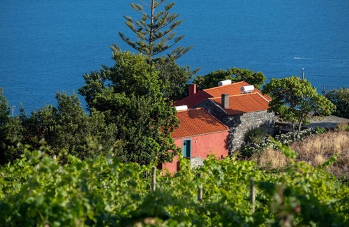 Estreito da Calheta Casa | Quinta das Vinhas