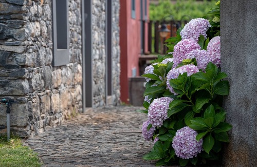 Estreito da Calheta Casa | Quinta das Vinhas