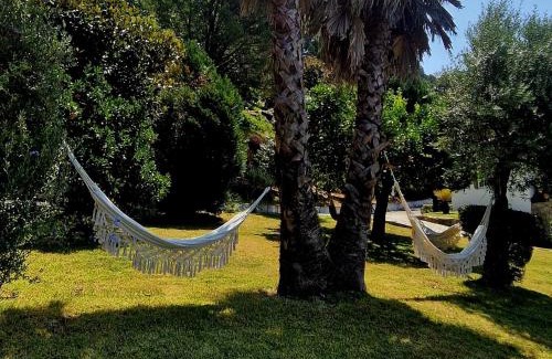 Penso Casa | Quinta de S. Vicente 317
