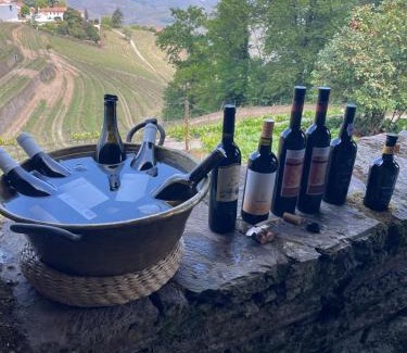 Peso da Regua Casa | Quinta de Santa Júlia