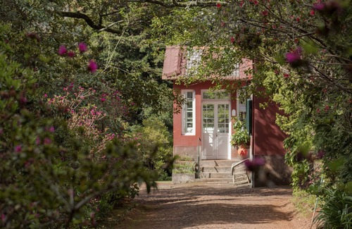 Santo da Serra Cabaña | Quinta de Santo António da Serra