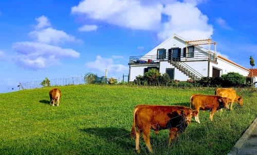 Lajes das Flores Apartamento | Quinta do Calvário