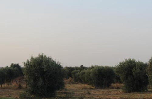 Reguengos de Monsaraz Villa | Quinta do Sobreiro
