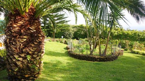 Lagoa Casa | Quinta dos Aromas