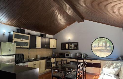 Celorico da Beira Casa | Quinta Santo Antonio do Rio