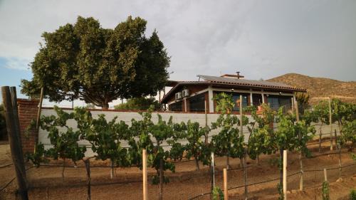 San Antonio de las Minas Villa | Quinta Sofia Valle de Guadalupe