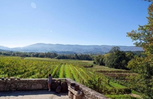 Moncao Apartamento | Quinta Vila Nova | Apartamento das Camélias | Agroturismo | Medio ambiente rural