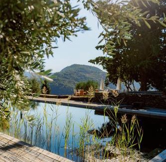 Cotas Casa | Quinta Vila Rachel - Winery