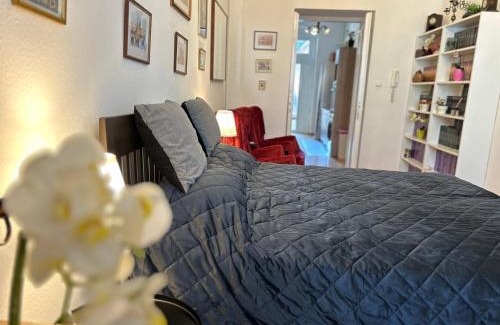 Nepszinhaz negyed Apartamento | Rákóczi Boulevard 47