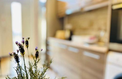 Nepszinhaz negyed Apartamento | Rákóczi Boulevard 47