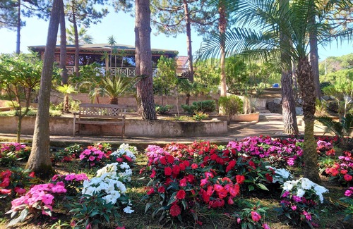 Calvi Casa | Résidence Les Pins