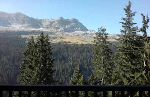 Flaine Apartamento | Résidence Les Pleiades - Appartement confortable avec cabine · Centre station · Balcon · Parking couvert MAE-7366