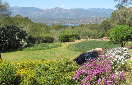 Porto-Vecchio Apartamento | Résidence Mari di Soli