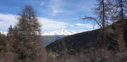Plagne 1800 Apartamento | Résidence Plagne Lauze - maeva Home - Studio 2 personnes - Sélection MAE-9201