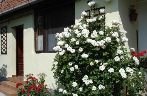 Gyula Apartamento | Rózsa Apartman