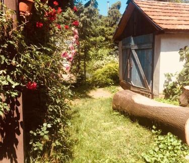 Nyiregyhaza Casa | Rózsakert Panzió
