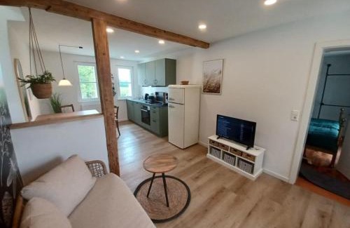 Schlier Apartamento | Rösslerhof Ferienwohnung Nachtweide