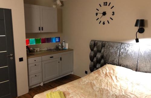 Stameriena Apartamento | R.Wolf castle