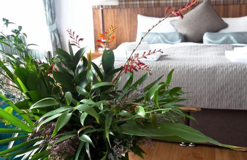 Isle of Raasay Casa | Raasay House Hotel
