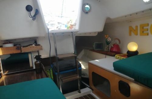 Parque das Nacoes Alquiler De Eote | Racing Boat