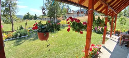 Kremna Apartamento | Rada smeštaj