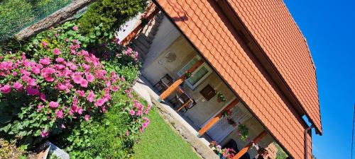 Kremna Apartamento | Rada smeštaj