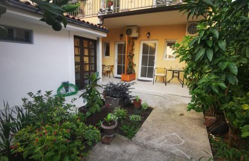 Bijeli do Apartamento | Radović Apartments