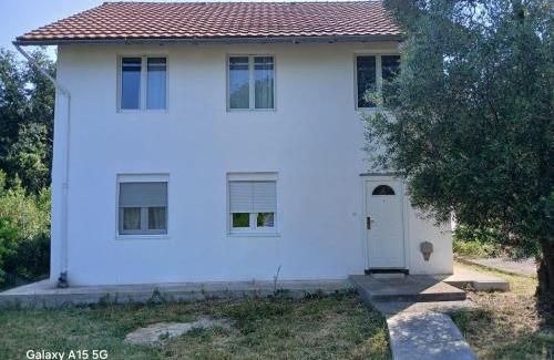 Radovici Casa | Radovici Family House