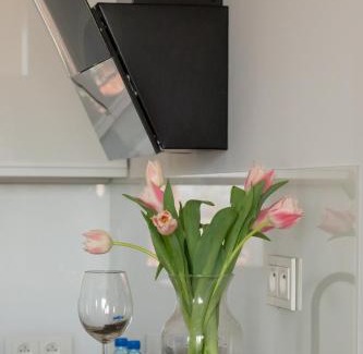 West Pomeranian Voivodeship Apartamento | Raginisa Chic Apartment by BookingHost