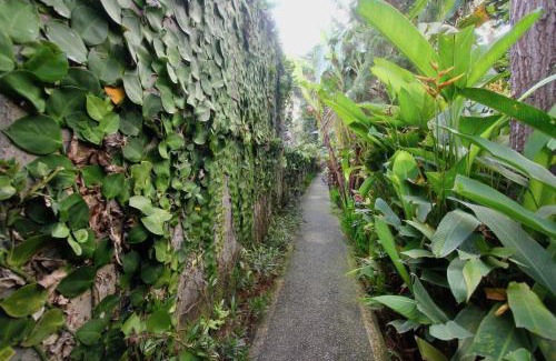 Ubud City-Centre Casa | Rahayu House Ubud