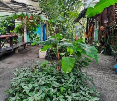 Mompiche Casa | Raices Mompiche