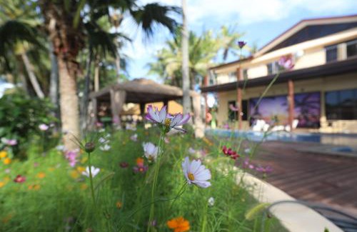 Nadi Cama Y Desayuno | Rainbow holiday resort