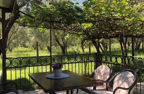 Ulcinj Casa | Rajana Bungalow 2olive House