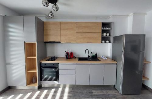 Blejoi Apartamento | Raluca cozy apartment's