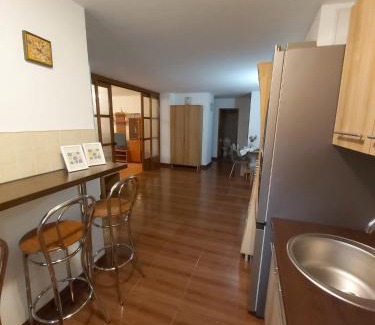 Bistrita Apartamento | Raluca Residence