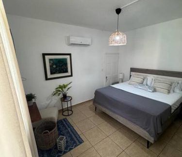 Maleza Baja Apartamento | Ramey Loft 3